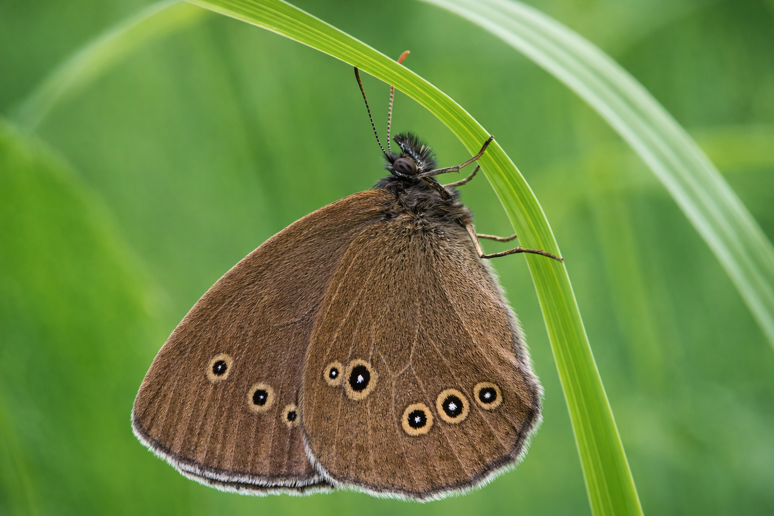 Výrazná fotografia prírody
